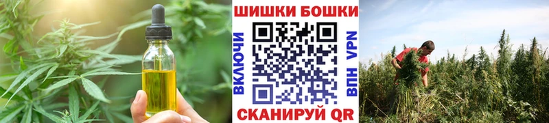 купить  сайты  Неман  Cannafood конопля 