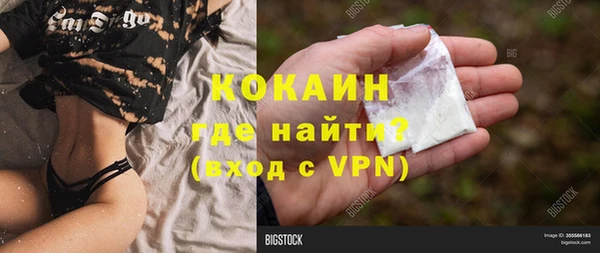 стаф Богородск