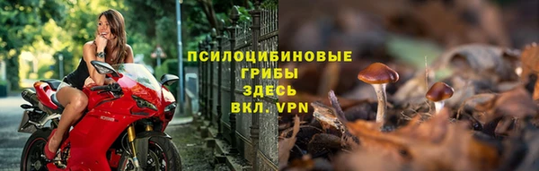 гашик Богданович