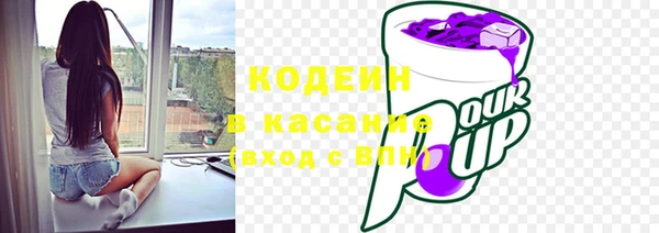 гашик Богданович