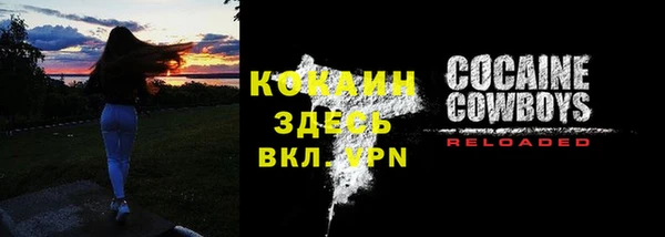 стаф Богородск
