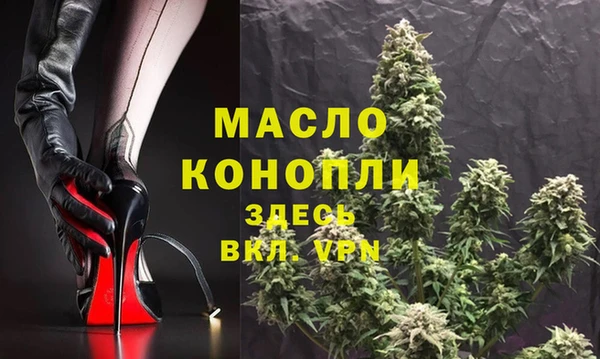 гашик Богданович