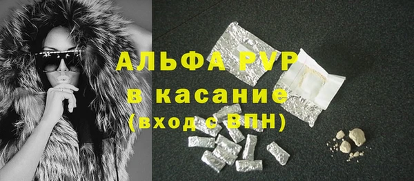 гашик Богданович
