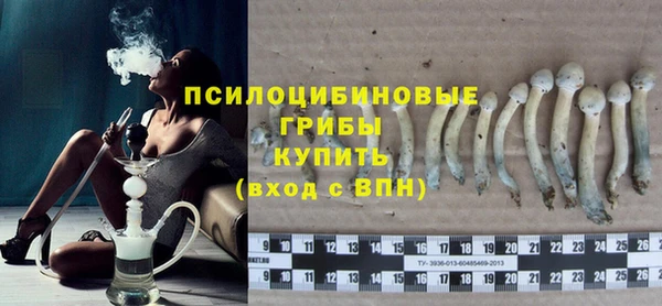 гашик Богданович