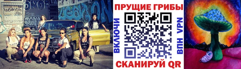 Псилоцибиновые грибы прущие грибы Неман
